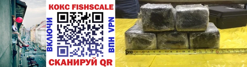Cocaine FishScale  купить  сайты  Пошехонье 