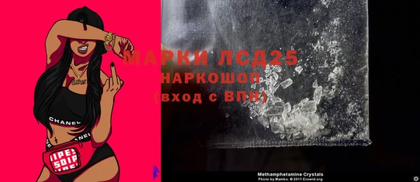 прущие грибы Баксан